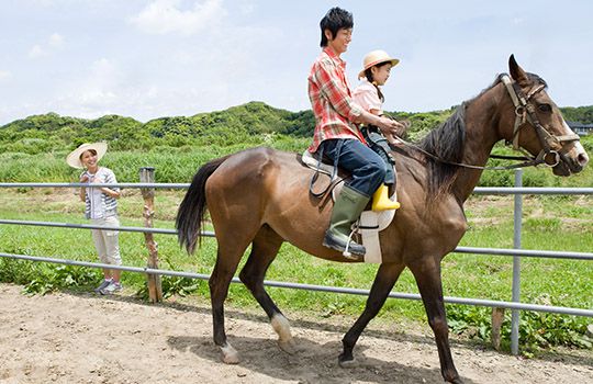 Birchwood - Horse Riding